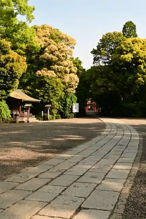 武蔵一宮氷川神社(埼玉県)
