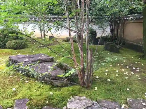 東林院の庭園