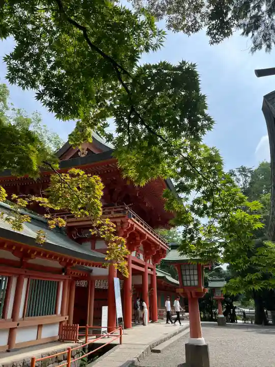 武蔵一宮氷川神社(埼玉県)
