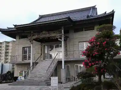 円福寺の本殿・本堂