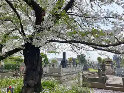 本妙院(東京都)