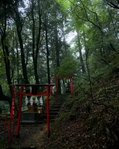 唐澤山神社(栃木県)