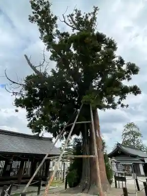 吉備津彦神社の{uncategorized: "未分類", other: "その他", undefined: "問題あり", building: "その他建物", grave: "お墓", sacred_gate: "鳥居", guardian: "狛犬", statue: "像", buddha: "仏像", history: "歴史", nature: "自然", garden: "庭園", animal: "動物", pagoda: "塔", temizu: "手水舎", mountain_gate: "山門・神門", sanctuary: "本殿・本堂", subordinate: "末社・摂社", art: "芸術", scenery: "景色", jizo: "地蔵", ema: "絵馬", goshuin: "御朱印", omikuji: "おみくじ", items: "授与品その他", amulet: "お守り", goshuincho: "御朱印帳", eats: "食事", festival: "お祭り", votive_dance: "神楽", shichigosan: "七五三参", wedding: "結婚式", experience: "体験その他", initially: "初詣", around: "周辺", anti_infection: "感染症対策"}