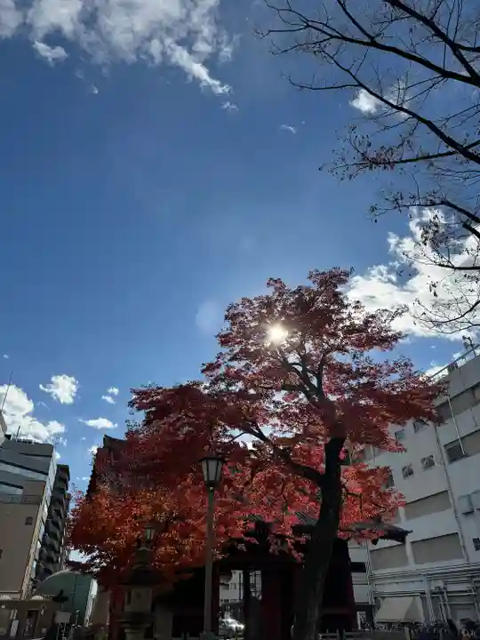 護国寺(東京都)