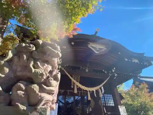 行田八幡神社の狛犬