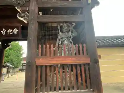 常光寺の{uncategorized: "未分類", other: "その他", undefined: "問題あり", building: "その他建物", grave: "お墓", sacred_gate: "鳥居", guardian: "狛犬", statue: "像", buddha: "仏像", history: "歴史", nature: "自然", garden: "庭園", animal: "動物", pagoda: "塔", temizu: "手水舎", mountain_gate: "山門・神門", sanctuary: "本殿・本堂", subordinate: "末社・摂社", art: "芸術", scenery: "景色", jizo: "地蔵", ema: "絵馬", goshuin: "御朱印", omikuji: "おみくじ", items: "授与品その他", amulet: "お守り", goshuincho: "御朱印帳", eats: "食事", festival: "お祭り", votive_dance: "神楽", shichigosan: "七五三参", wedding: "結婚式", experience: "体験その他", initially: "初詣", around: "周辺", anti_infection: "感染症対策"}