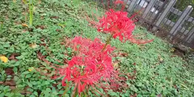 平野神社(京都府)