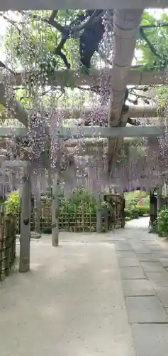 越ヶ谷久伊豆神社の庭園