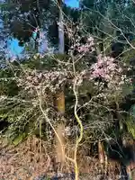 牟禮山観音禅寺(滋賀県)