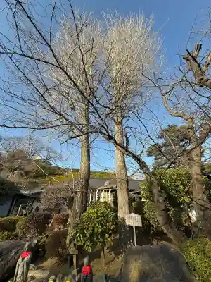 養源寺の{uncategorized: "未分類", other: "その他", undefined: "問題あり", building: "その他建物", grave: "お墓", sacred_gate: "鳥居", guardian: "狛犬", statue: "像", buddha: "仏像", history: "歴史", nature: "自然", garden: "庭園", animal: "動物", pagoda: "塔", temizu: "手水舎", mountain_gate: "山門・神門", sanctuary: "本殿・本堂", subordinate: "末社・摂社", art: "芸術", scenery: "景色", jizo: "地蔵", ema: "絵馬", goshuin: "御朱印", omikuji: "おみくじ", items: "授与品その他", amulet: "お守り", goshuincho: "御朱印帳", eats: "食事", festival: "お祭り", votive_dance: "神楽", shichigosan: "七五三参", wedding: "結婚式", experience: "体験その他", initially: "初詣", around: "周辺", anti_infection: "感染症対策"}