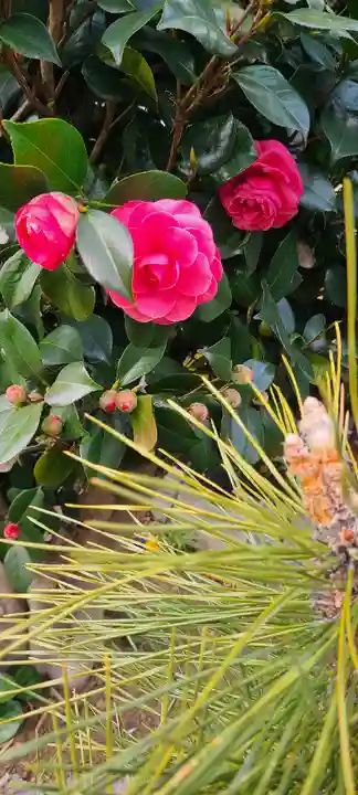 横浜御嶽神社(神奈川県)