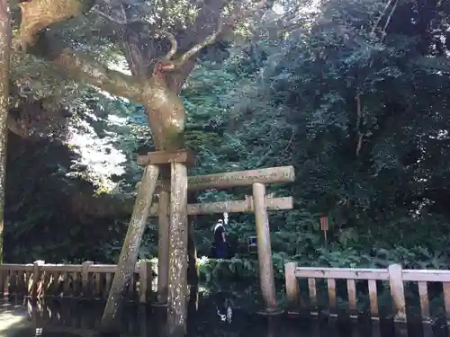 鹿島神宮の鳥居