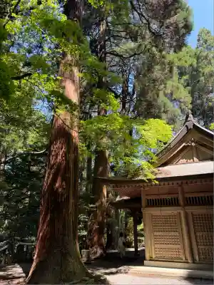 槵觸神社(宮崎県)