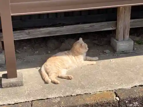 唐澤山神社(栃木県)