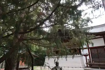 氣比神宮(福井県)