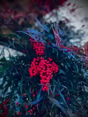 浄居寺(山梨県)