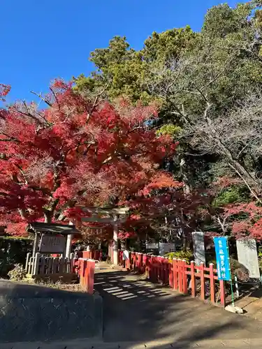 麻賀多神社奥宮(千葉県)