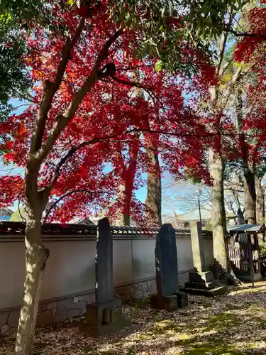 愛染院(東京都)