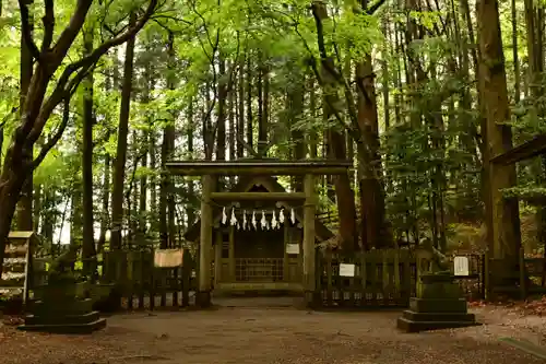 宝登山神社奥宮(埼玉県)