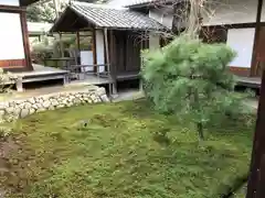 隨心院（随心院）の庭園