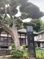 宝珠院(神奈川県)