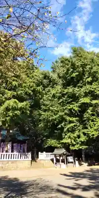 鶴嶺八幡宮のその他建物