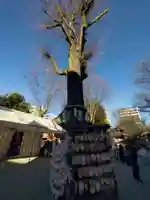 子安神社(東京都)