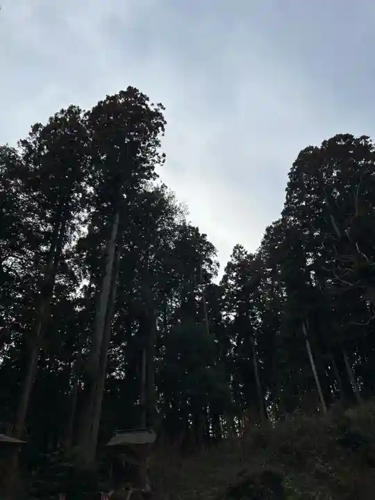 大宮温泉神社(栃木県)