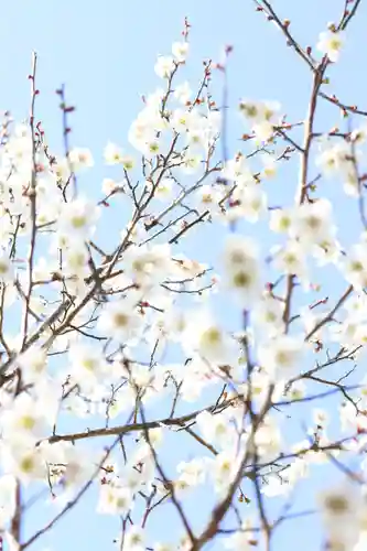 常樂寺(滋賀県)