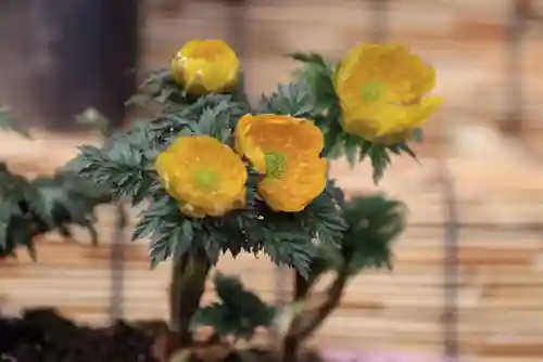 阿邪訶根神社のその他建物