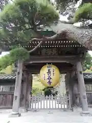 長谷寺の山門