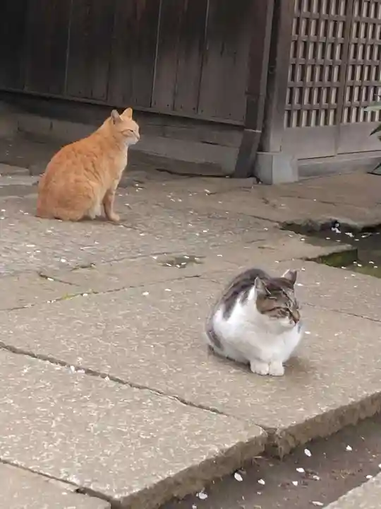 奥澤神社(東京都)