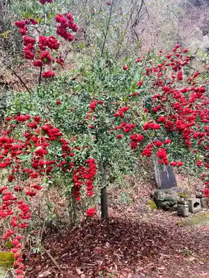 榛名神社(群馬県)