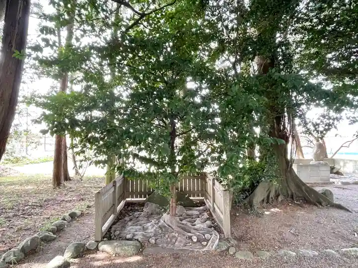魚見神社(三重県)
