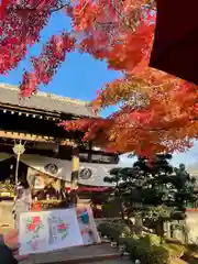 法輪寺の建物その他