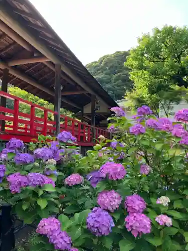 本土寺(千葉県)