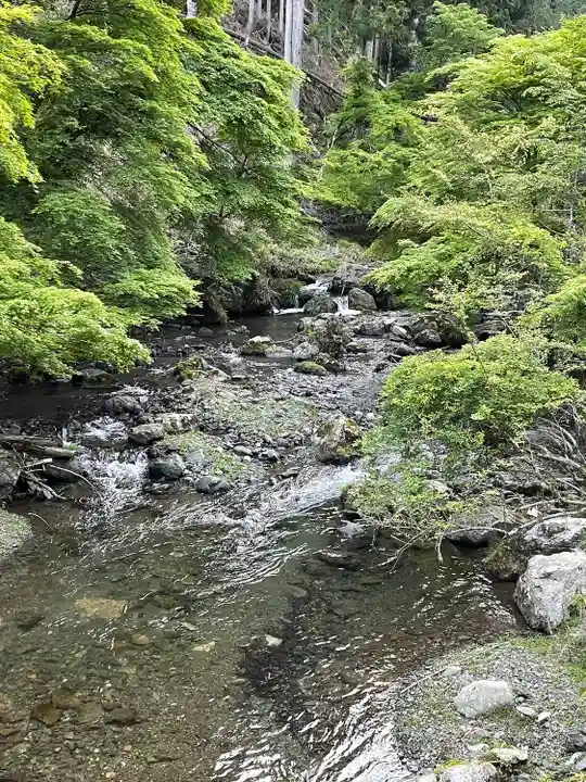 貴船神社の自然