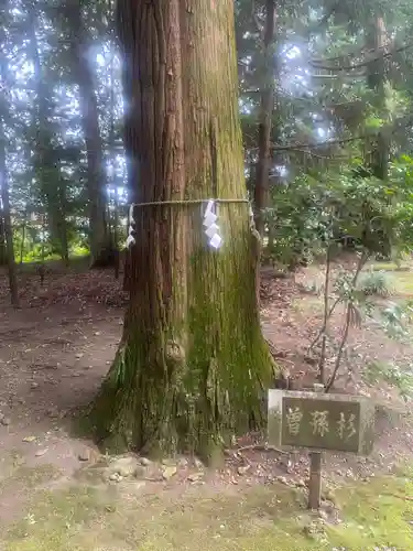 宮原八幡宮(栃木県)