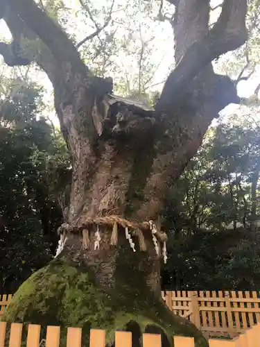 熱田神宮の自然