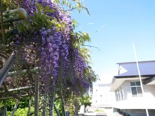 極楽山　浄土寺の自然