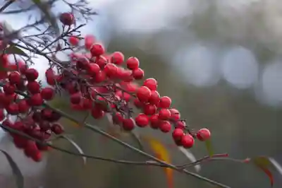 蓮華王院（三十三間堂）(京都府)