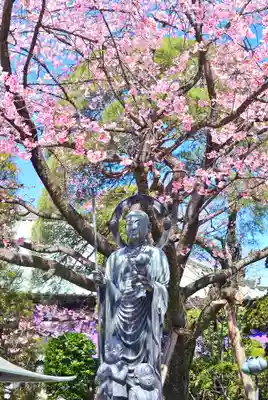 密藏院(埼玉県)