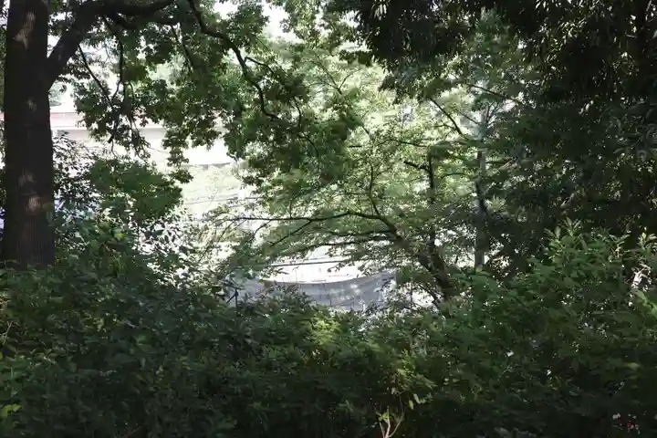 多摩川浅間神社(東京都)