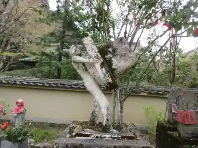 大山寺(徳島県)