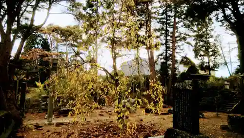 豊景神社の自然
