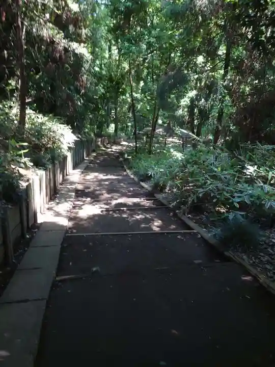 氷川神社の周辺