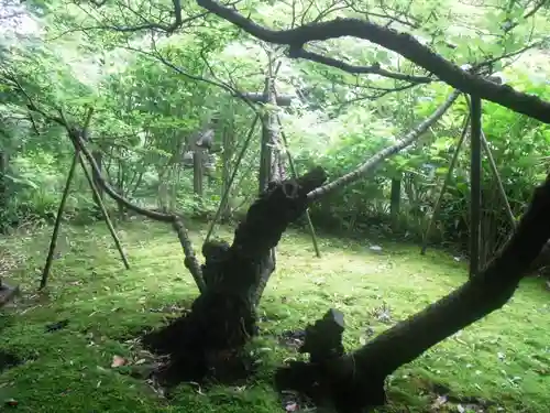 安國論寺（安国論寺）の庭園