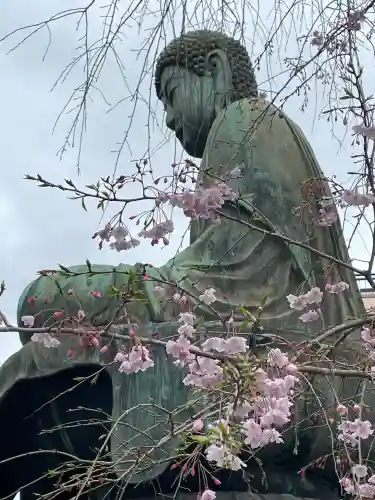 吉祥寺(東京都)