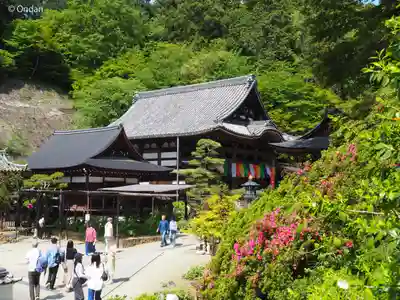 岡寺(龍蓋寺)(奈良県)