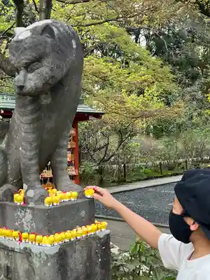 多聞院(埼玉県)